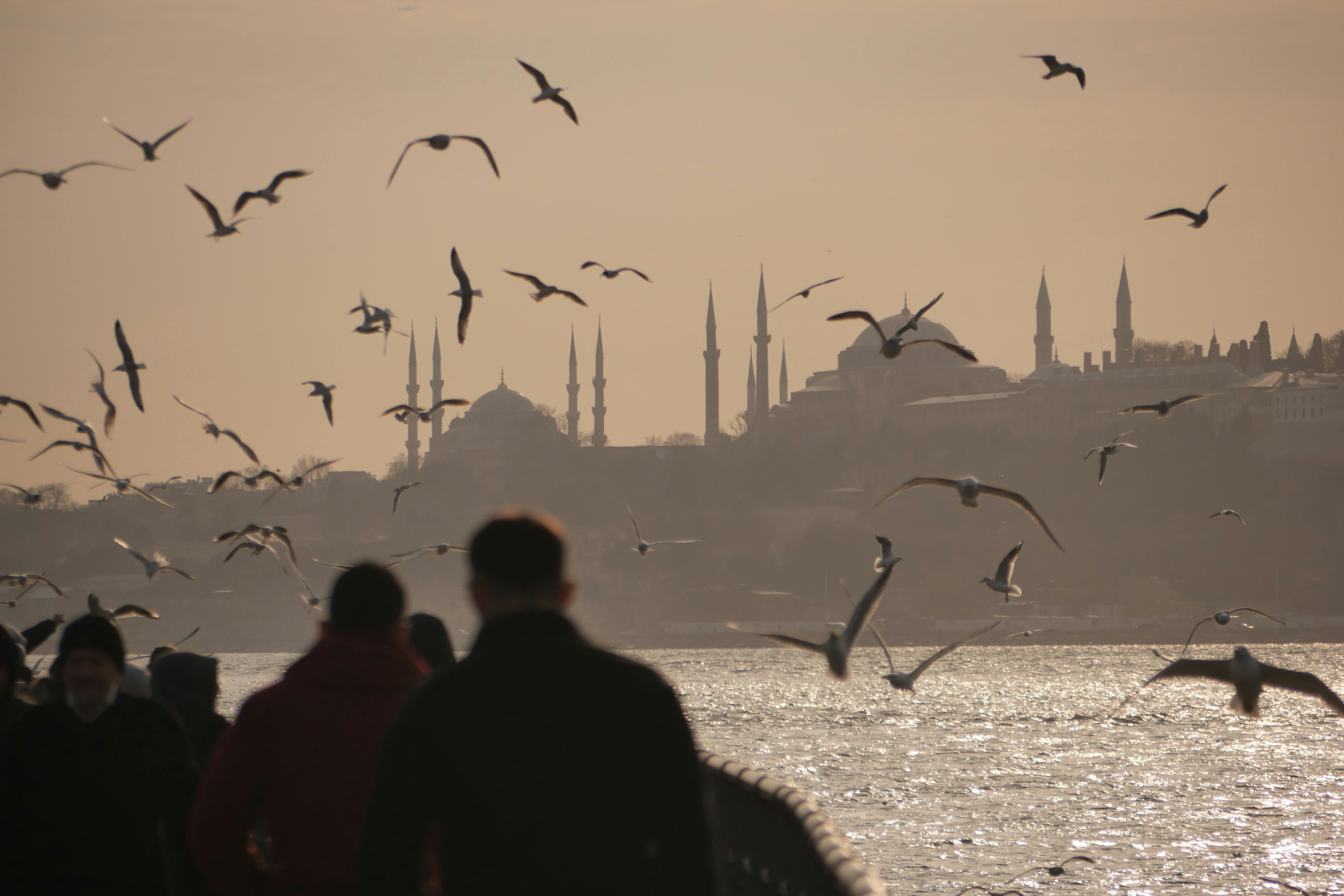 Neighborhood Guide: Where to Stay and Explore in Istanbul